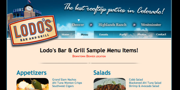 Website Design