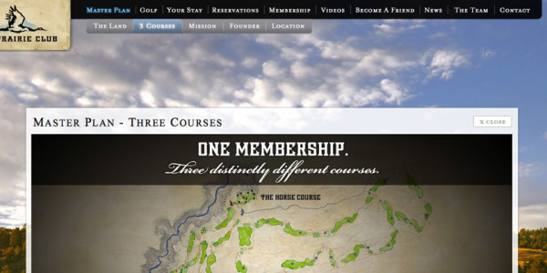 Web Design & Development